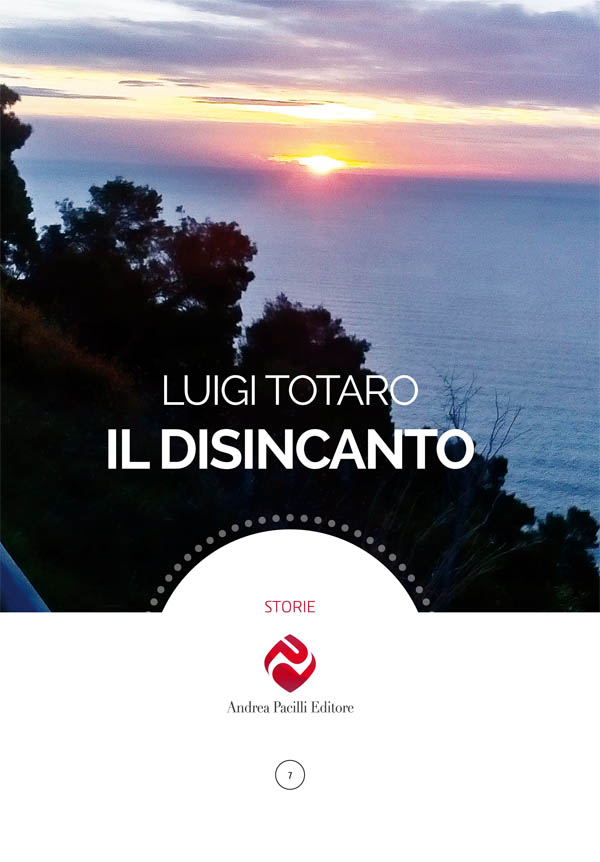 Copertina di Il disincanto